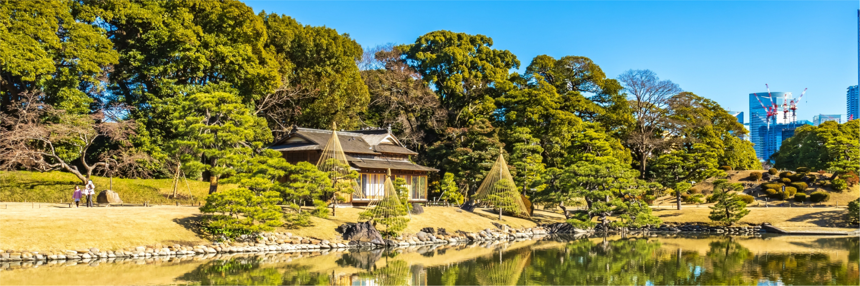 TOKYO TOUR